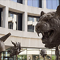 Ai Weiwei at Sackler and Hirshhorn