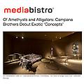 Of Amethysts and Alligators: Campana Brothers Debu...