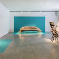 Campana Brothers: Hybridism - Exhibitions