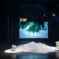 Erez Nevi Pana - Exhibitions