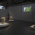Erez Nevi Pana: Consciousness - Exhibitions