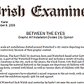 Between the Eyes. Graphic Art Installation Divides...