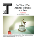 On View: The Artistry of Plants and Pots