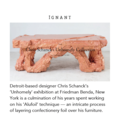 Chris Schanck's Unhomely Collection