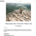 Whitewaller New York 2018: What to See