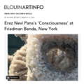Erez Nevi Pana’s ‘Consciousness’ at Friedman...