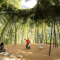 Nature: Design Triennial - Exhibitions