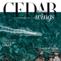Lebanese Design with a Spring in Its Step