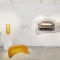 Split Personality - Exhibitions