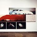Image World: Art and Media Culture