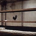Bill Beckley: Rooster Bed Lying