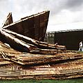 Ai Weiwei's Humane Conceptualism
