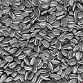Let 100 Million Sunflowers Bloom: A Q&A with Ai We...
